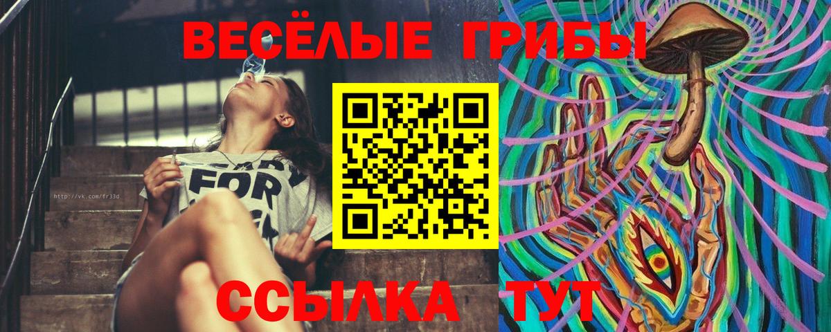 продажа наркотиков  Галлюциногенные грибы мухоморы  Вход с VPN  Галлюциногенные грибы ЛСД  Бирск 